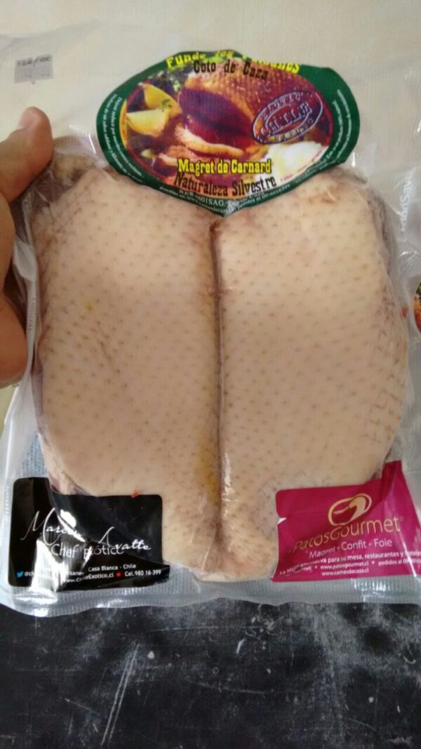 Pechuga de Pato Magret de Pato Magret de Canard