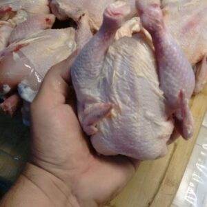 pollo de grano calibres 500 a 700 gramos